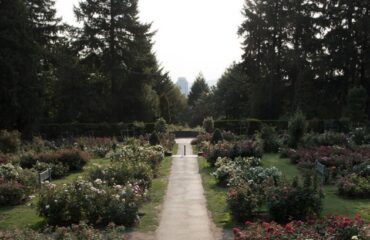 IMG_0550