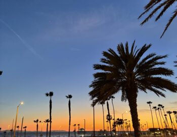 LA