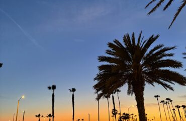 LA
